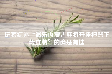 玩家综述“微乐内蒙古麻将开挂神器下载安装	”的确是有挂