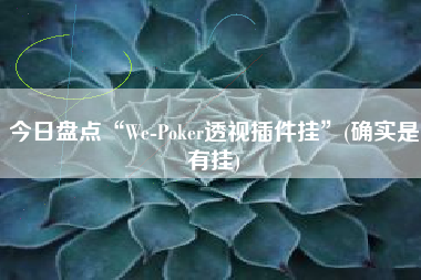 今日盘点“We-Poker透视插件挂	”(确实是有挂)