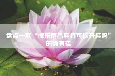 盘点一款“微乐南昌麻将可以开挂吗”的确有挂