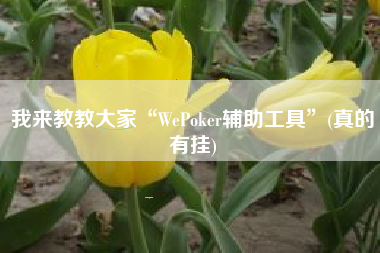 我来教教大家“WePoker辅助工具”(真的有挂)