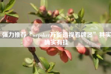 强力推荐“wepoker万能透视看牌器”其实确实有挂