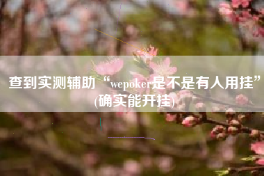 查到实测辅助“wepoker是不是有人用挂”(确实能开挂)
