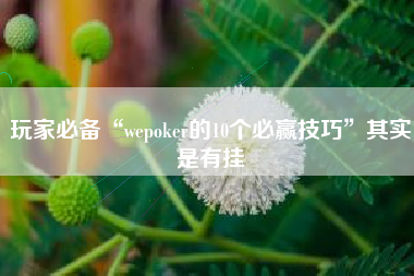 玩家必备“wepoker的10个必赢技巧	”其实是有挂