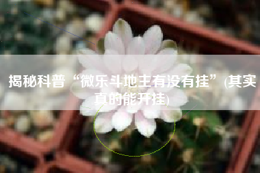 揭秘科普“微乐斗地主有没有挂”(其实真的能开挂)