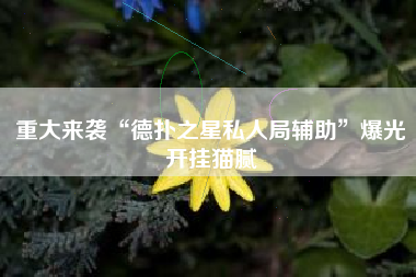 重大来袭“德扑之星私人局辅助”爆光开挂猫腻