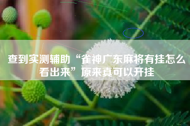 查到实测辅助“雀神广东麻将有挂怎么看出来	”原来真可以开挂