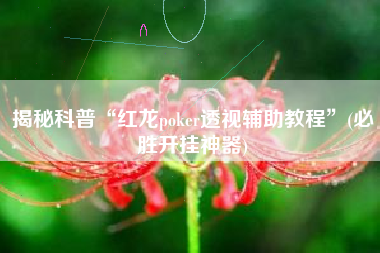 揭秘科普“红龙poker透视辅助教程”(必胜开挂神器)
