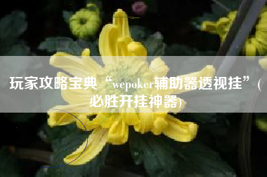 玩家攻略宝典“wepoker辅助器透视挂	”(必胜开挂神器)