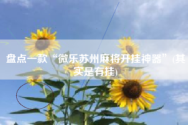 盘点一款“微乐苏州麻将开挂神器”(其实是有挂)