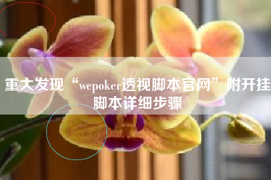 重大发现“wepoker透视脚本官网	”附开挂脚本详细步骤