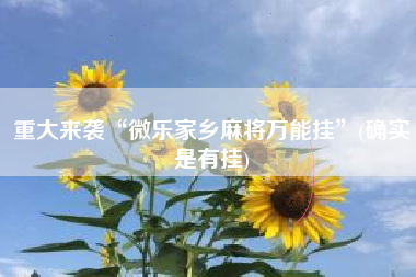 重大来袭“微乐家乡麻将万能挂”(确实是有挂)