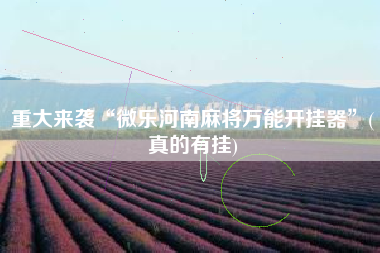 重大来袭“微乐河南麻将万能开挂器”(真的有挂)