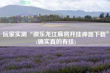 玩家实测“微乐龙江麻将开挂神器下载”(确实真的有挂)