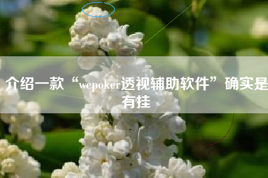 介绍一款“wepoker透视辅助软件”确实是有挂