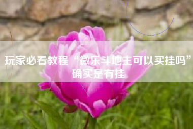 玩家必看教程“微乐斗地主可以买挂吗	”确实是有挂