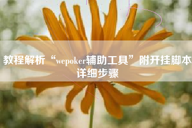 教程解析“wepoker辅助工具	”附开挂脚本详细步骤