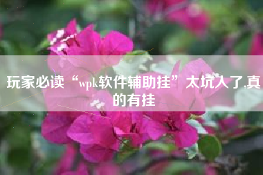 玩家必读“wpk软件辅助挂	”太坑人了,真的有挂