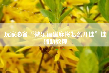 玩家必备“微乐福建麻将怎么开挂”挂辅助教程