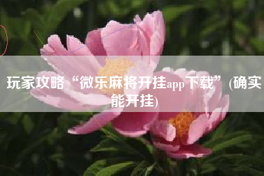 玩家攻略“微乐麻将开挂app下载	”(确实能开挂)