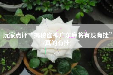 玩家点评“揭秘雀神广东麻将有没有挂	”(真的有挂)