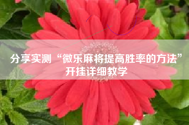 分享实测“微乐麻将提高胜率的方法”开挂详细教学