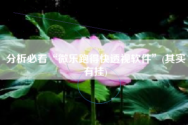 分析必看“微乐跑得快透视软件”(其实有挂)