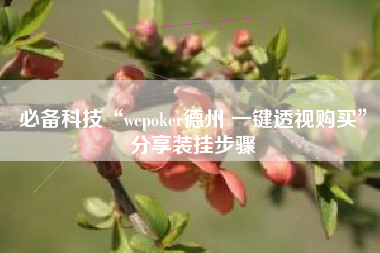 必备科技“wepoker德州 一键透视购买”分享装挂步骤
