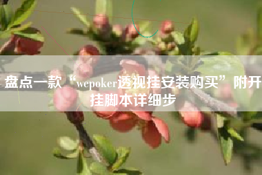 盘点一款“wepoker透视挂安装购买	”附开挂脚本详细步