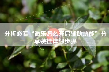 分析必看“微乐怎么开启辅助功能	”分享装挂详细步骤