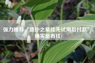 强力推荐“德扑之星挂先试用后付款”(确实是有挂)