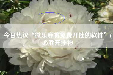 今日热议“微乐麻将免费开挂的软件”(必胜开挂神