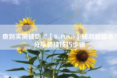 查到实测辅助“【WePOKer】辅助器脚本”分享装挂技巧步骤