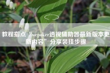 教程指点“wepoker透视辅助器最新版本更新内容”分享装挂步骤