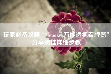 玩家必备攻略“wepoker万能透视看牌器	”分享装挂详细步骤