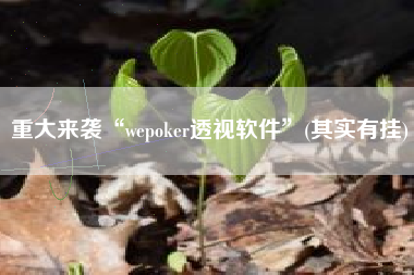 重大来袭“wepoker透视软件”(其实有挂)