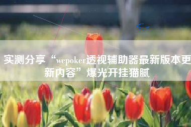 实测分享“wepoker透视辅助器最新版本更新内容”爆光开挂猫腻