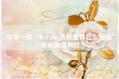 分享一款“WePoker透视插件怎么安装”原来确实有挂