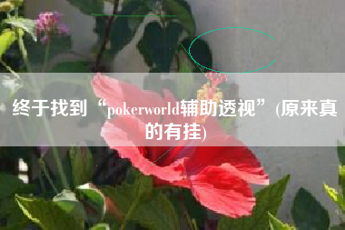 终于找到“pokerworld辅助透视”(原来真的有挂)