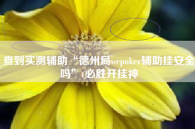 查到实测辅助“德州局wepoker辅助挂安全吗	”(必胜开挂神