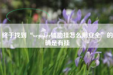 终于找到“wepoker辅助挂怎么用安全”的确是有挂