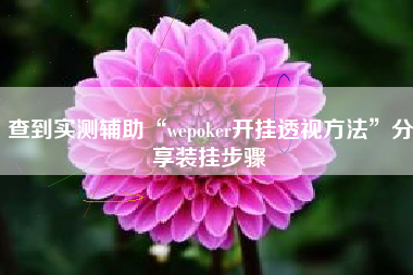 查到实测辅助“wepoker开挂透视方法”分享装挂步骤