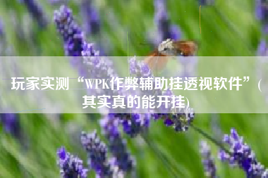 玩家实测“WPK作弊辅助挂透视软件”(其实真的能开挂)