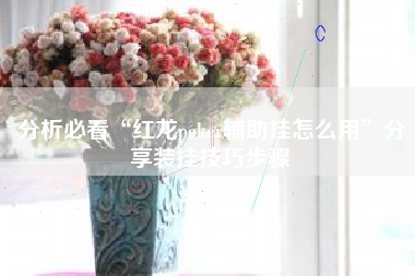 分析必看“红龙poker辅助挂怎么用”分享装挂技巧步骤