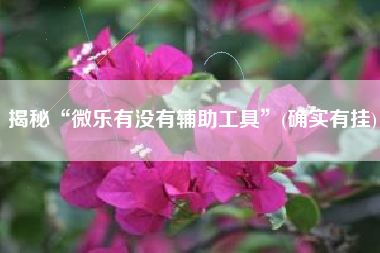 揭秘“微乐有没有辅助工具	”(确实有挂)