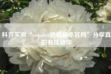 科普实测“wepoker透视脚本官网	”分享真的有挂给你