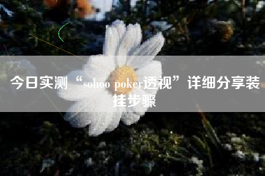 今日实测“sohoo poker透视”详细分享装挂步骤