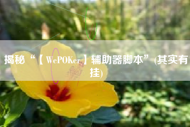 揭秘“【WePOKer】辅助器脚本”(其实有挂)