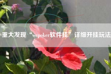 重大发现“wepoker软件挂”详细开挂玩法