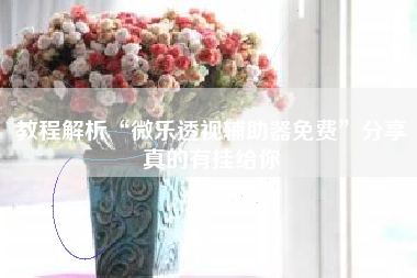 教程解析“微乐透视辅助器免费	”分享真的有挂给你