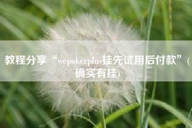 教程分享“wepokerplus挂先试用后付款	”(确实有挂)